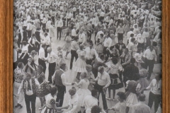 SDFNE Pic# PG123