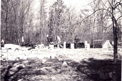 Scan 6
